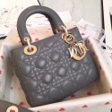 Dior lucky badges Original sheepskin Tote Bag A88035 grey JH07303fw56