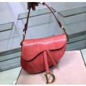 Knockoff Dior SADDLE Snake skin tote C9046 pink JH07042Bc82