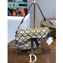 Replica Dior GEBORDUURDE SADDLE-TAS M0446VRNG JH07372eG43