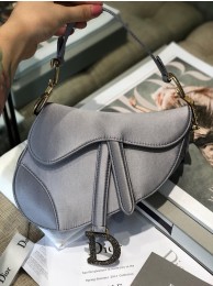 Dior SADDLE SATIN MINI BAG M447S Gray JH07240dJ42