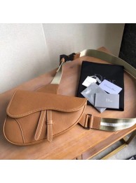 Imitation Hot DIOR OBLIQUE SADDLE BELT BAG M9020 brown JH07153Rl62