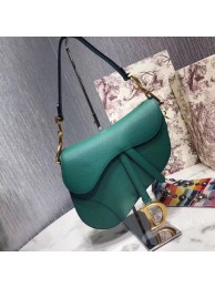 Imitation Top Dior SADDLE-TAS VAN KALFSLEER M0446C green JH07299Wv17