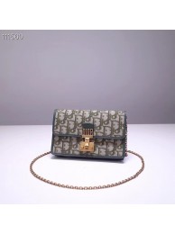 Knockoff Dior DIORAMA leather Chain bag S2012 green JH07172Hv51